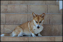 IMG_5430