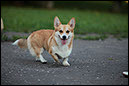 IMG_2727