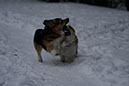 IMG_0359