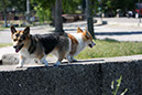 IMG_3764