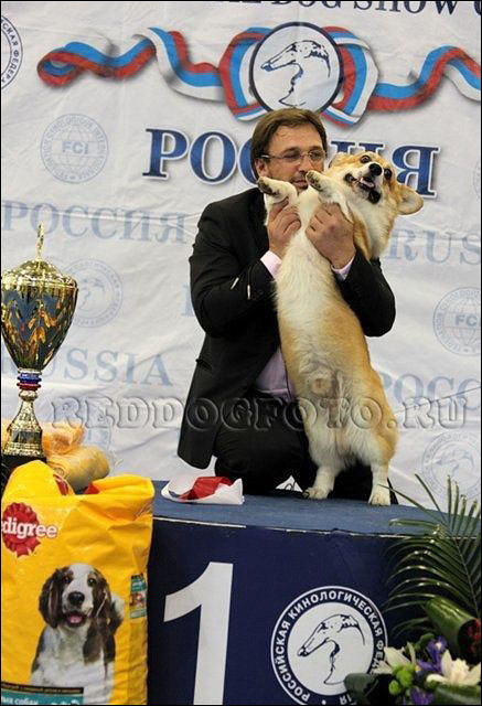 Россия 2010 Лис