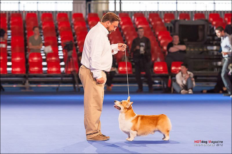 602330_386668101410505_2101444421_n