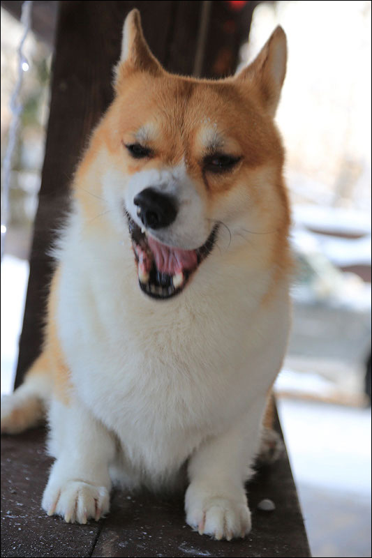 6Q5A6160 - Версия 2